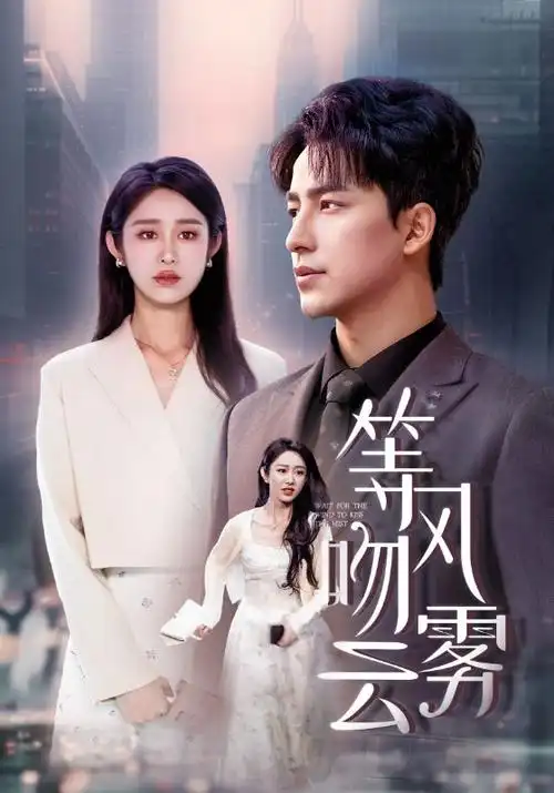 剧集：迷墙之下